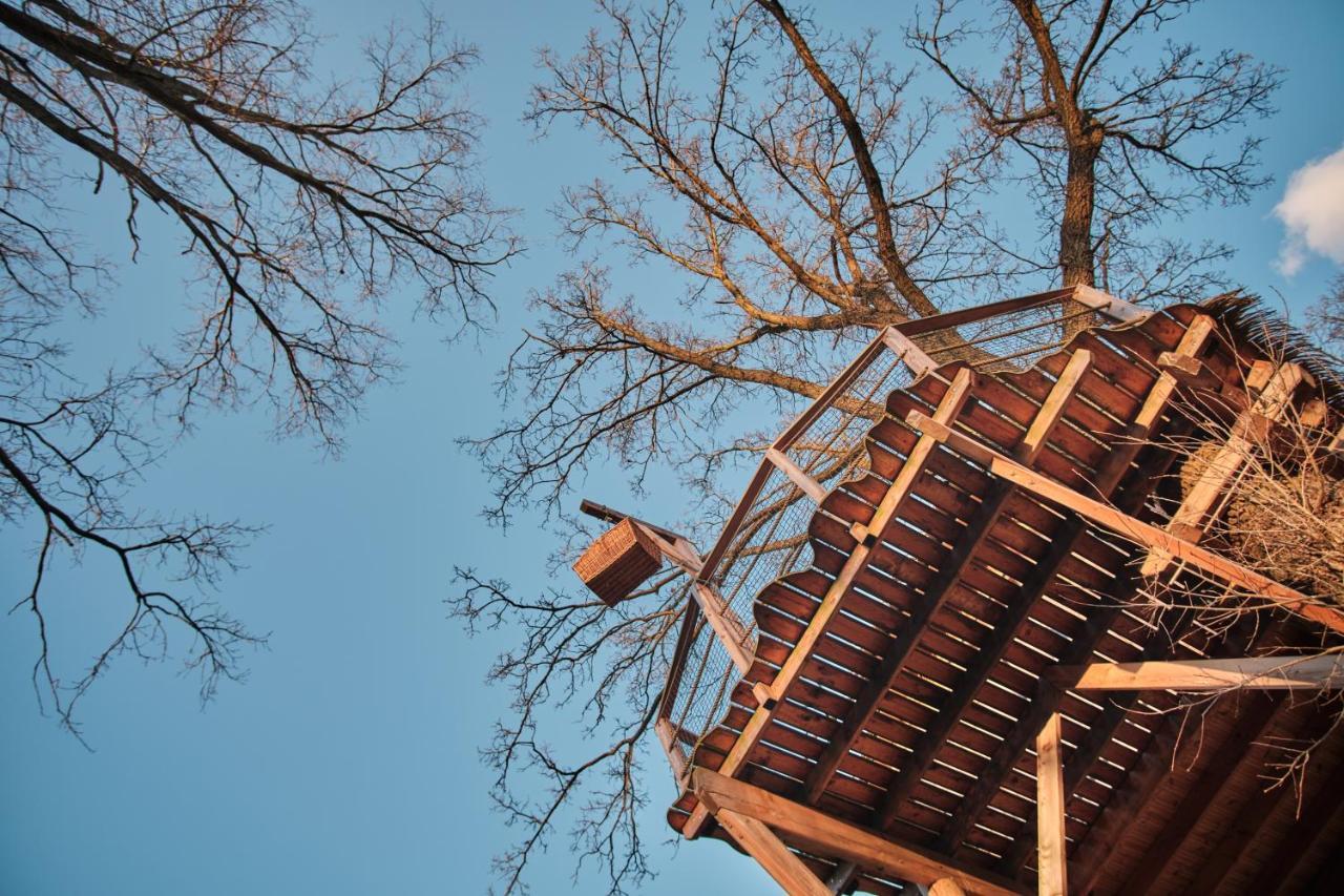 Treehouse Kremilek Villa Jesenice  Eksteriør billede
